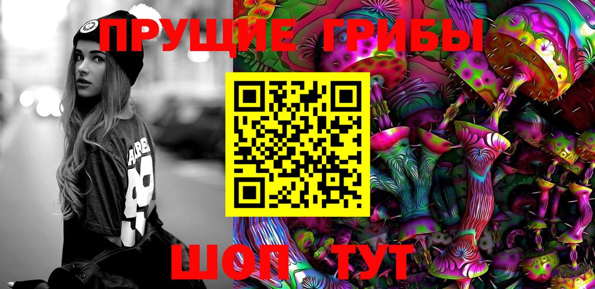 купить  цена  Вход с VPN  Барнаул  Галлюциногенные грибы прущие грибы  Галлюциногенные грибы мицелий 